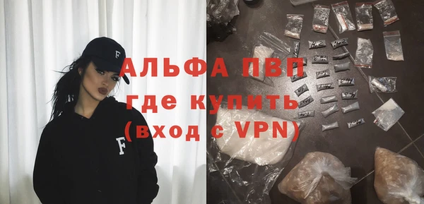ешки Алексин