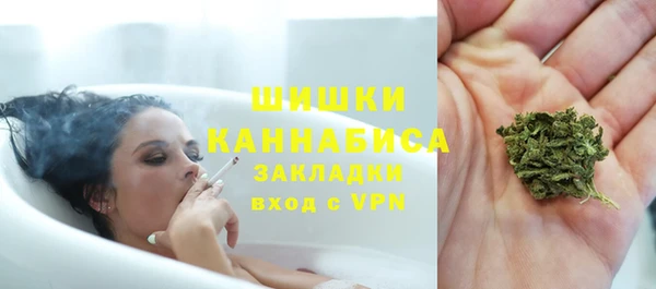 apvp Верея