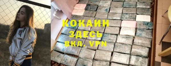 ешки Алексин