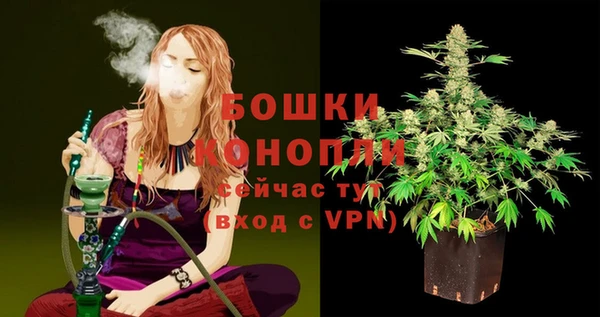 ПСИЛОЦИБИНОВЫЕ ГРИБЫ Магас