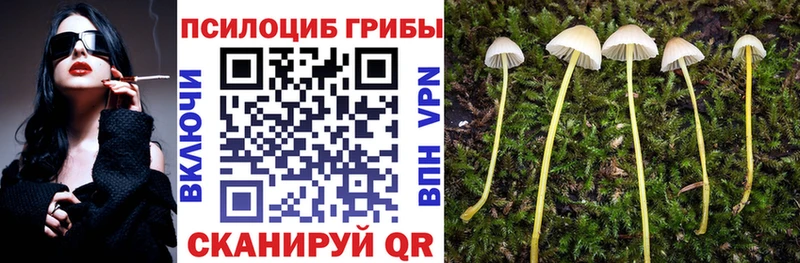 сколько стоит  ОМГ ОМГ ССЫЛКА  Псилоцибиновые грибы мухоморы  Чебоксары 